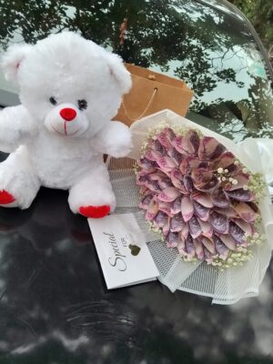 3K Moneyed Teddy
