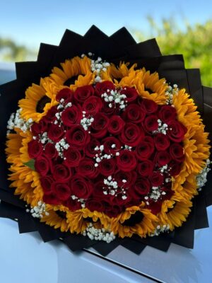 Austrarian sunflower